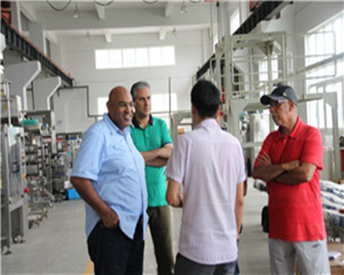 Egyptian clients visited the project of the packaging machine