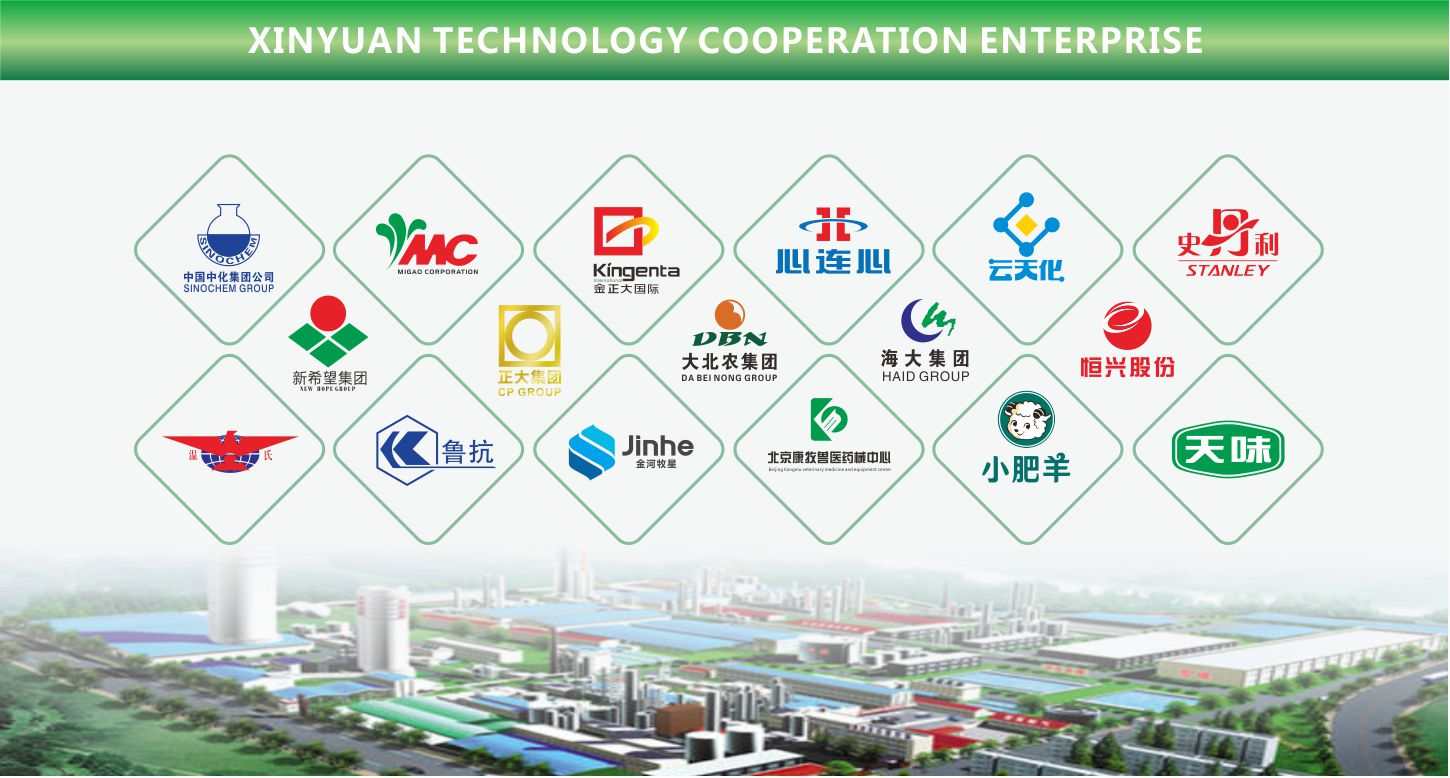 Xinyuan Technology